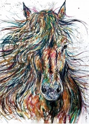 Puzzle ANATOLIAN Vent 500 pièces