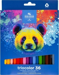 Crayons de couleur triangulaires Triocolor 36 pcs OURS KOH-I-NOOR