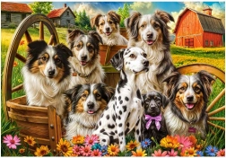 Puzzle Castorland chiens heureux à la campagne 1000 pièces
