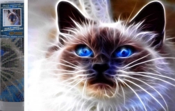 Peinture diamant Magie féline 30 × 40 cm