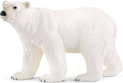 Ours polaire