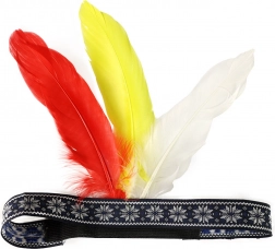 Coiffe indienne à plumes pour adultes