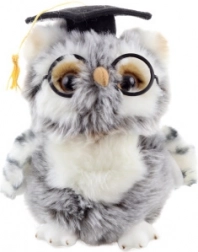 Chouette en peluche diplômée