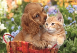 Puzzle maxi 104 pièces Adorables amis CLEMENTONI