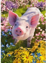 Puzzle Cherry Pazzi Tu m’aimes ? 500 pièces