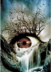 Peinture diamant Œil