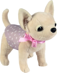 Chien chihuahua DIDI