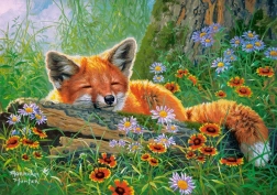 Puzzle 500 pièces Foxy Dreams