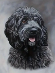 Peinture diamant chien Cockapoo noir 30 × 40 cm