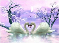 peinture diamant cygnes amoureux 30 × 40 cm