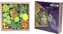 Kit de modelage artistique succulentes dans un cadre en bois 21 × 21 cm