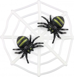 Toile d’araignée avec araignées