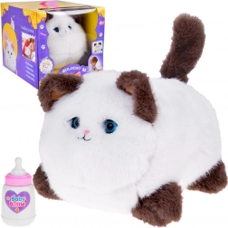 Chat interactif Puszek – miaule, ronronne et bouge les yeux