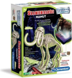 Kit scientifique – fossiles de mammouth