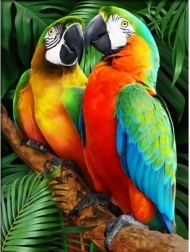 Mosaïque de diamants (diamond painting) Aras colorés 30 × 40 cm