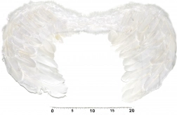 Ailes d'ange pour costume