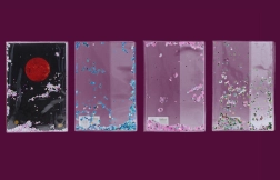 Protège-cahier A4 pailleté