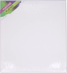 Toile de peinture 40 × 50 cm