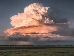 Puzzle RAVENSBURGER La force de la nature 1500 pièces