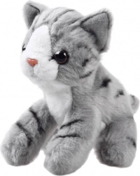 Peluche Zoo - chat assis
