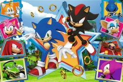 Puzzle 100 pièces - Faites connaissance avec Sonic