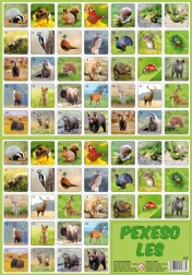 Pexeso Forêt - animaux de la forêt