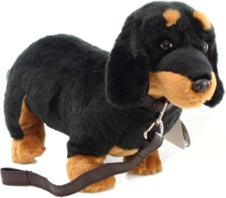 Teckel en peluche avec laisse 36 cm