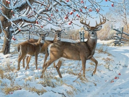 Puzzle Cerfs en hiver 500 pièces