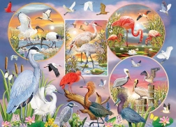 Puzzle oiseaux aquatiques enchanteurs 1000 pièces