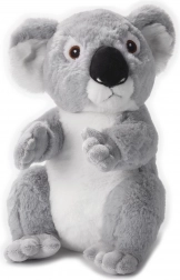 Koala En Peluche 29 cm