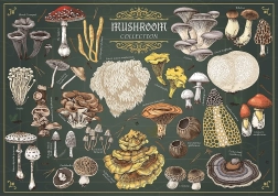 Puzzle TREFL Premium Plus Finders Keepers : champignons 500 pièces