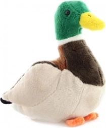 Canard en peluche 20 cm
