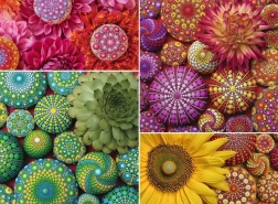 Ravensburger puzzle Mandala fleurs 500 pièces
