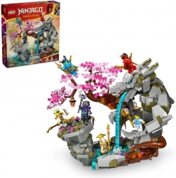 LEGO NINJAGO temple de la pierre du dragon