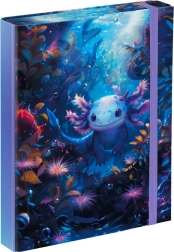 Chemises pour cahiers A5 motif Axolotl