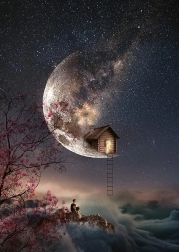 Puzzle Murmures de rêves 1000 pièces