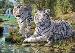 Puzzle Tigres blancs 1000 pièces – Collection Secrète de Dino