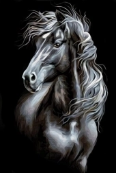 Peinture diamant cheval noir et blanc 30 × 40 cm