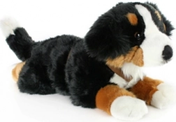 Chien bouvier bernois en peluche 65 cm