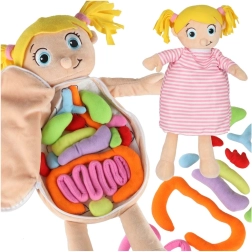 Poupée anatomique en peluche Montessori pour enfants