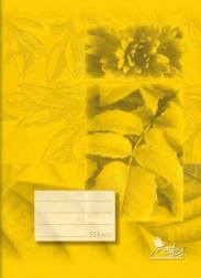 Cahier scolaire A5 ligné 12 mm, 20 feuilles – jaune