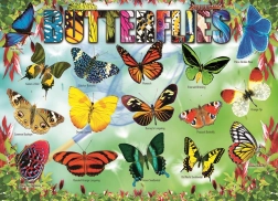 EUROGRAPHICS Puzzle Papillons de jardin 100 pièces