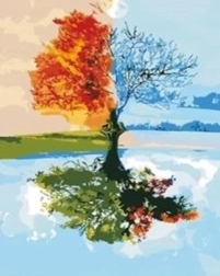 Norimpex peinture par numéros Arbre quatre saisons 40 × 50 cm
