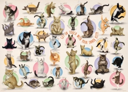 eurographics puzzle yoga des chats xl 500 pièces
