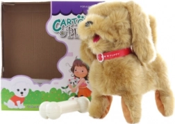 Chiot brun filaire avec télécommande