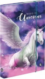 Boîte pour cahiers A4 Pégase