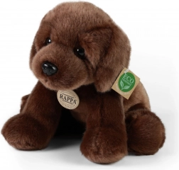 Chien en peluche Labrador assis Rappa écologique