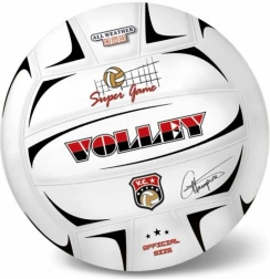 Ballon de volley Champions 21 cm