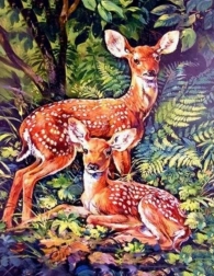 Peinture diamant cerfs dans la forêt 30 × 40 cm