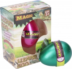 Œuf avec lézard grandissant